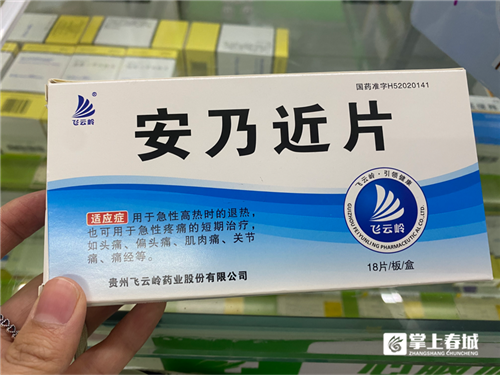 掌上春城