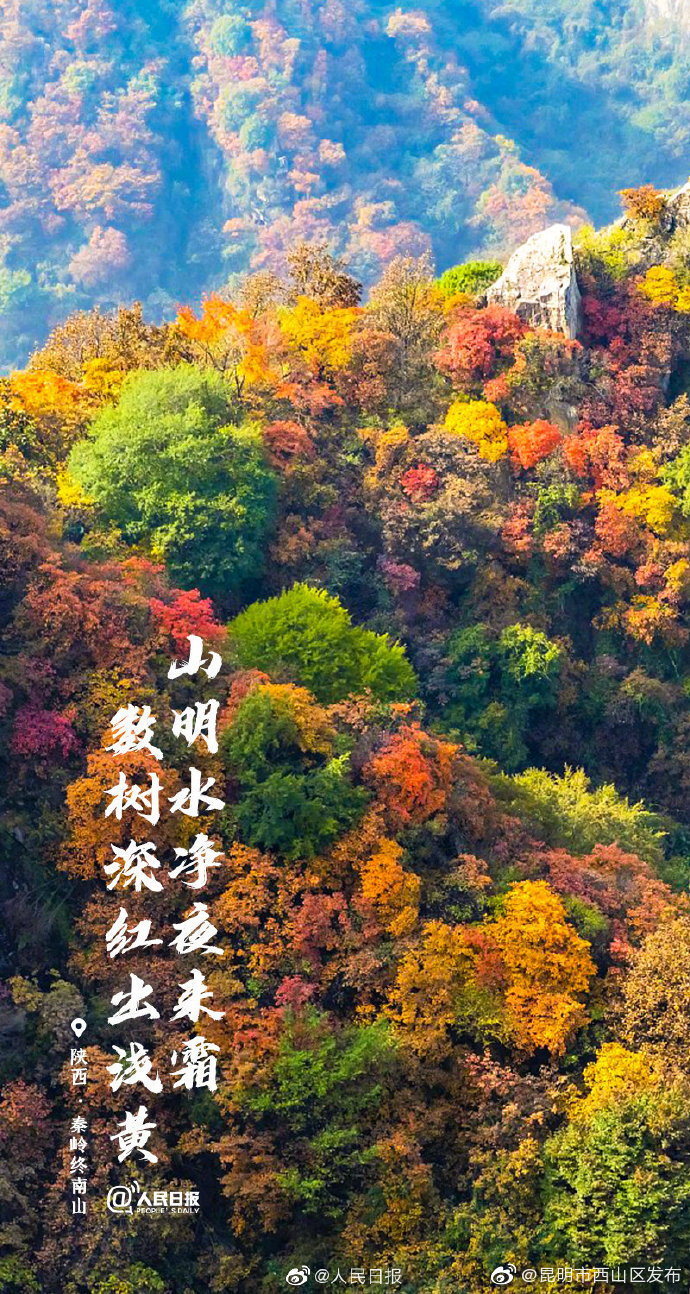 “昆明市西山区发布”微博