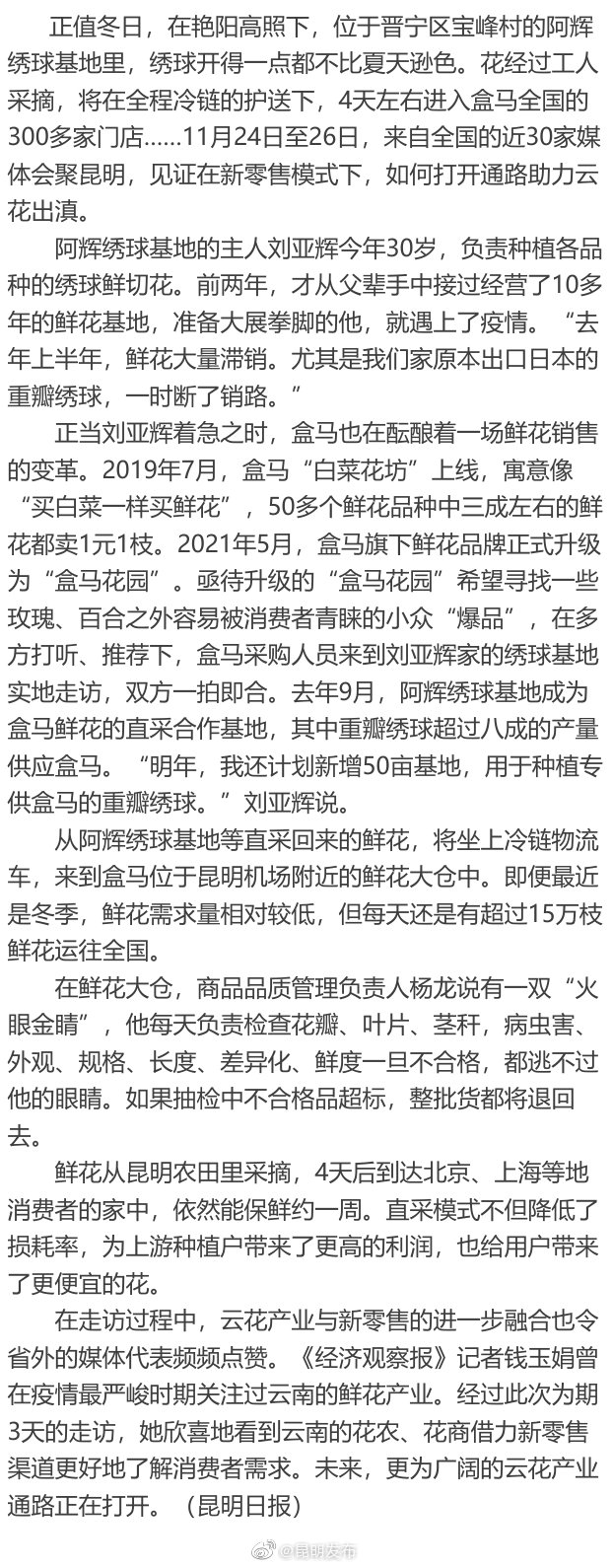 全国媒体代表来昆走“花”路 见证云花出滇飘香全国