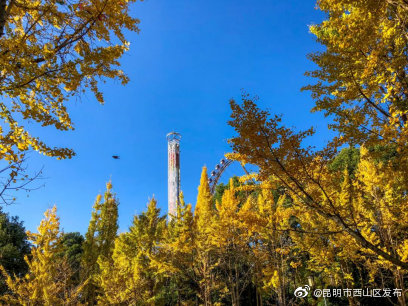 “昆明市西山区发布”微博