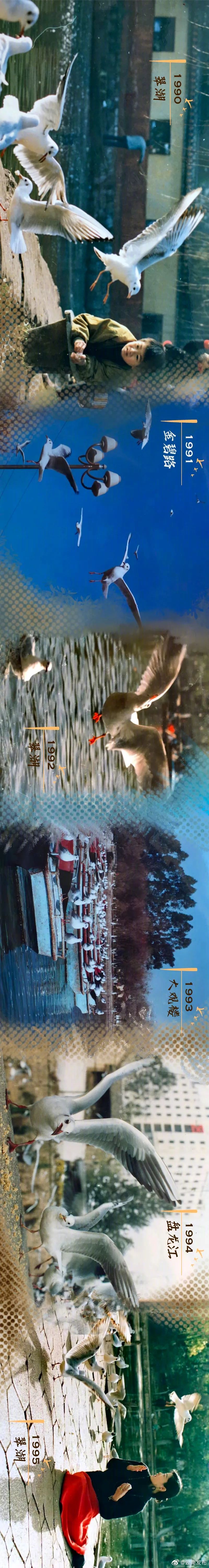 “云南发布”微博