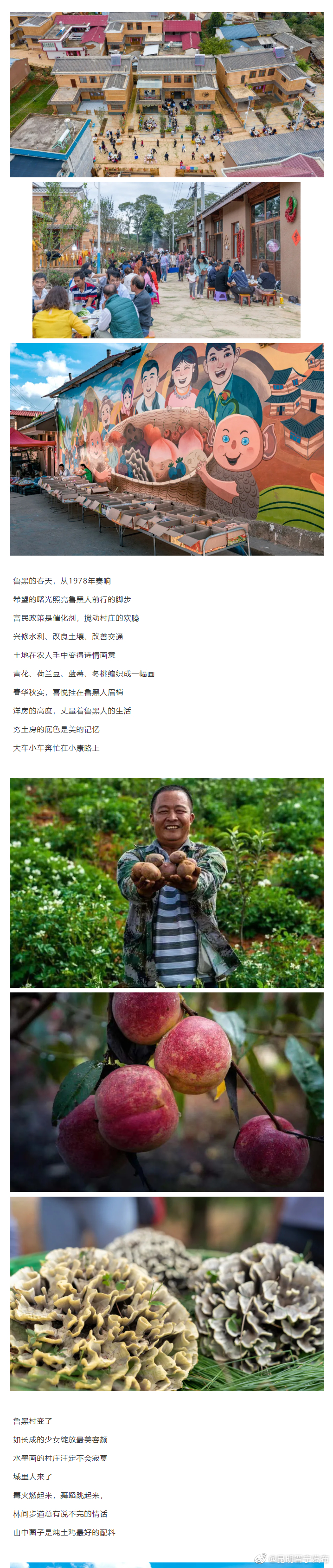 昆明晋宁发布