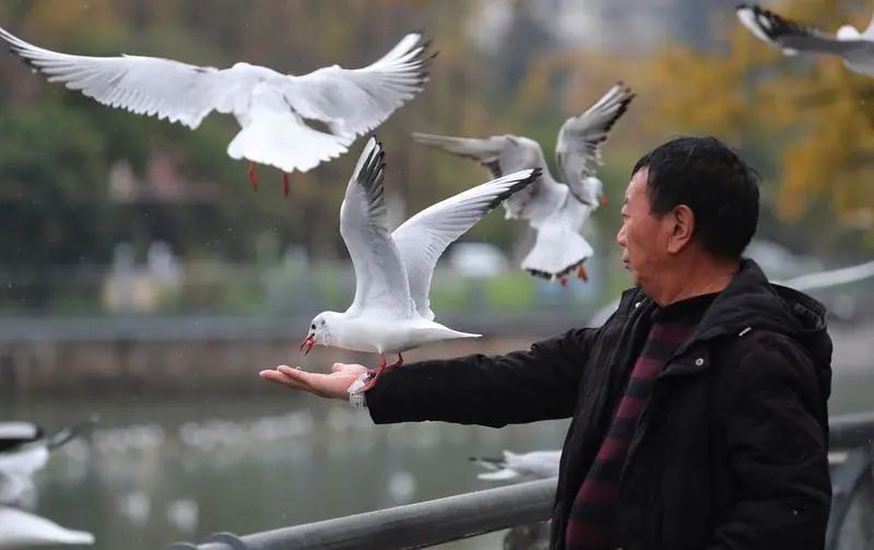 昆明发布