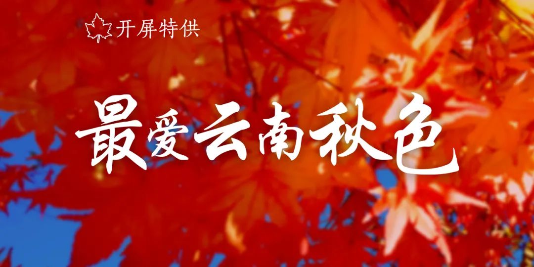 春城晚报
