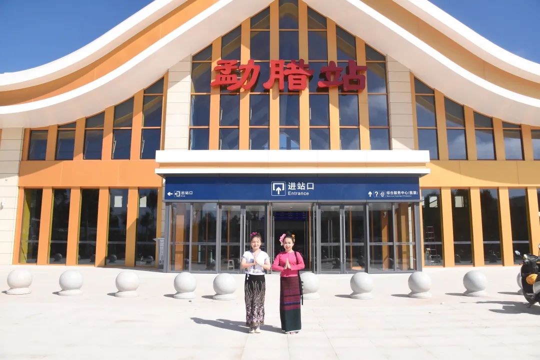 西双版纳望天树景区