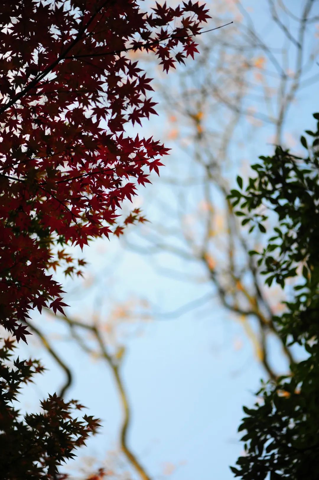 昆明市金殿名胜区