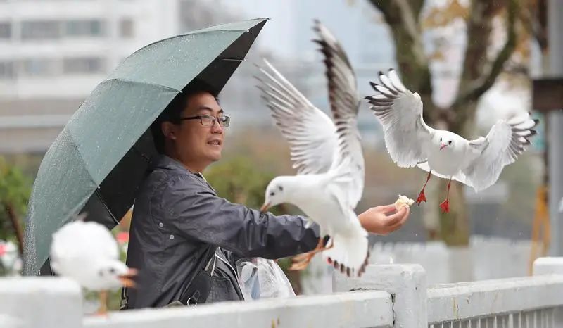 昆明发布