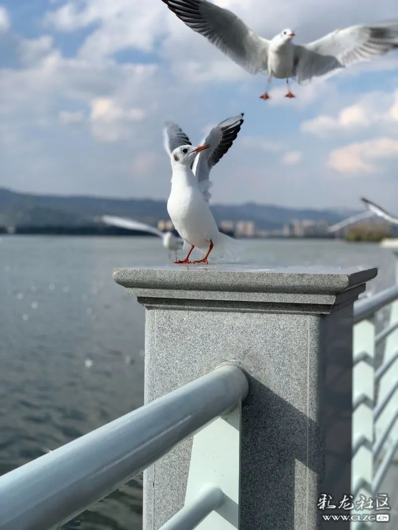昆明信息港