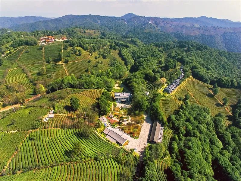 文旅云南