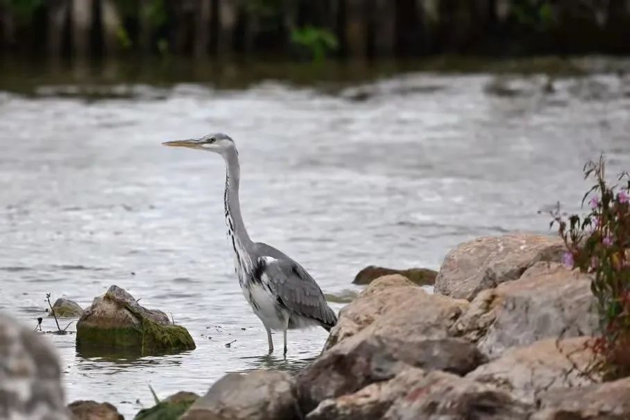 昆明市金殿名胜区