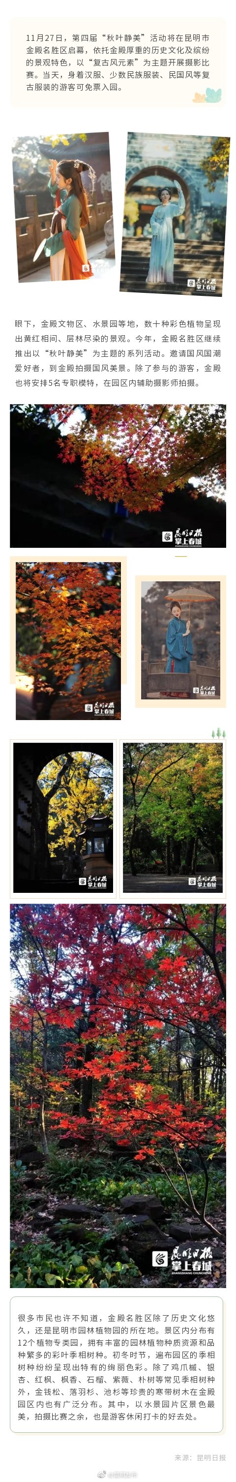 穿汉服免费入园！本周六，来金殿看“秋叶静美”