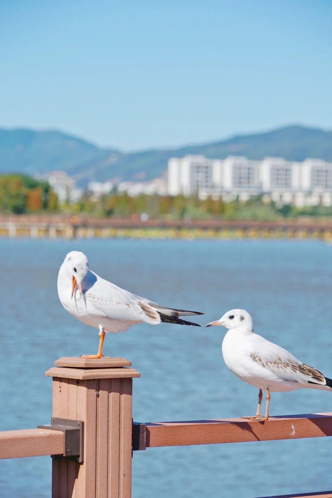 红河文旅