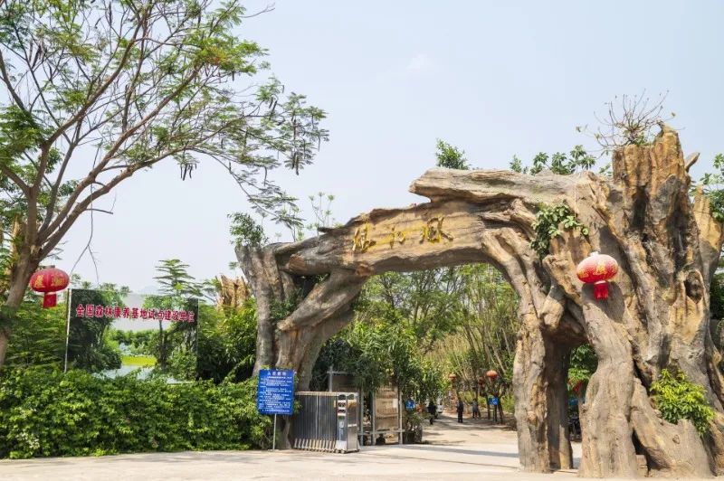 文旅云南