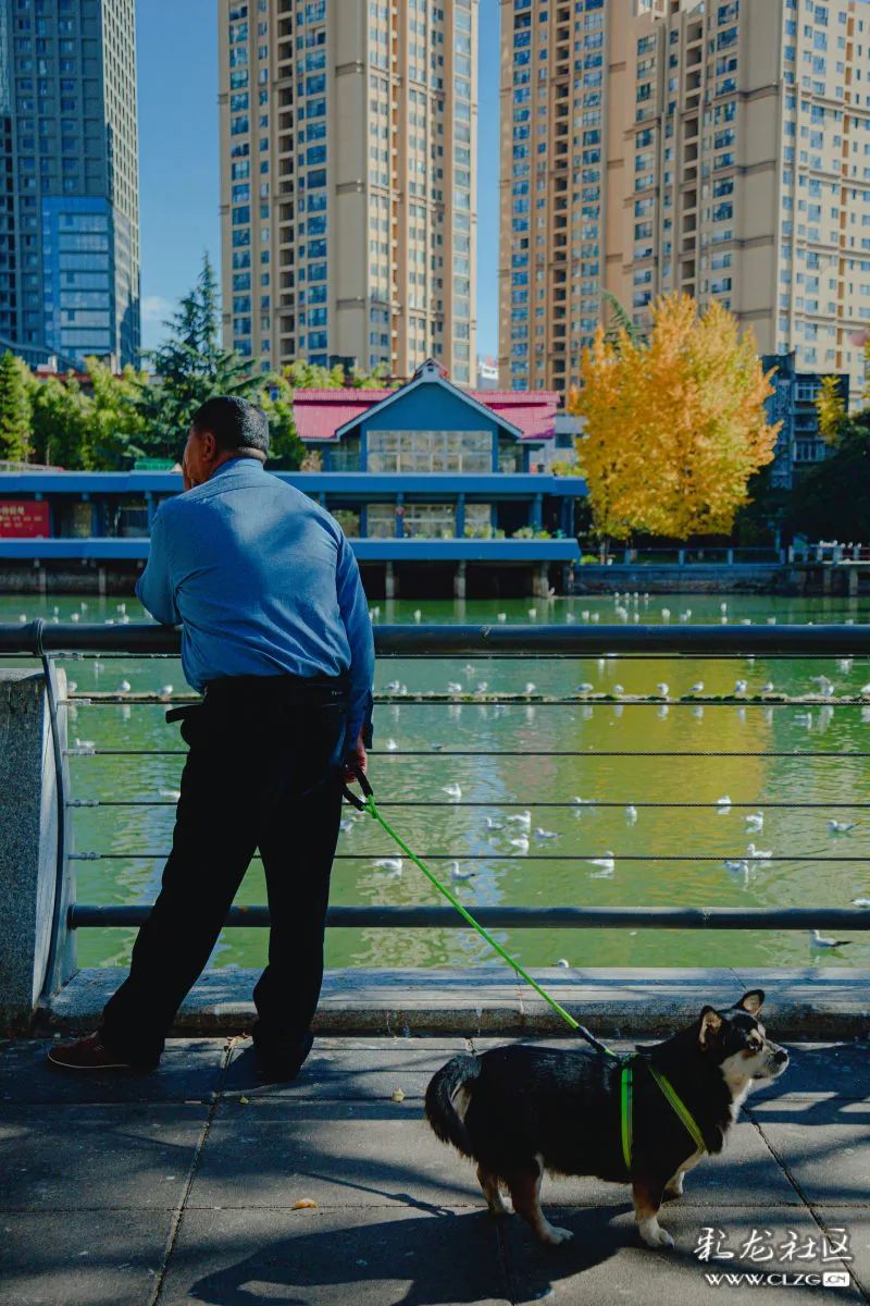 昆明信息港/cnkmxxg