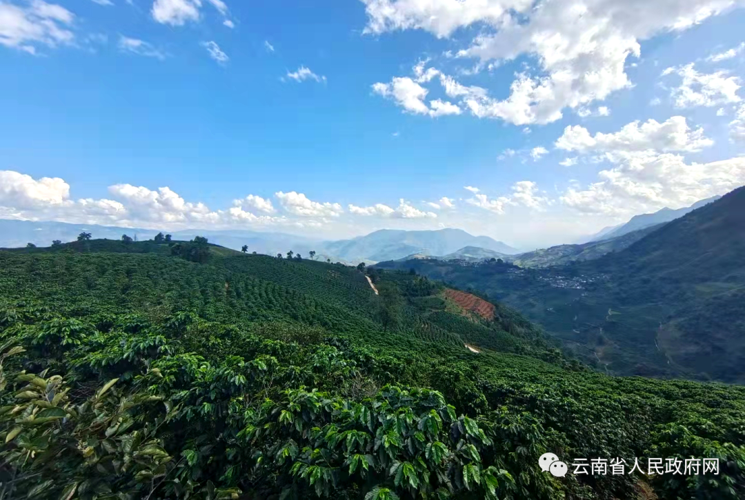 云南省人民政府网