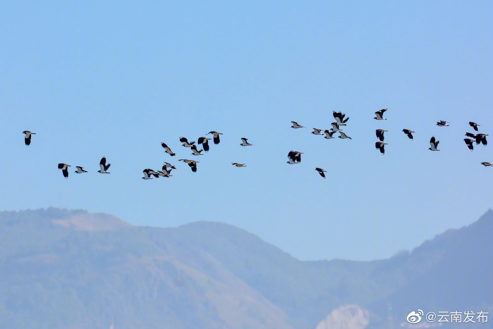 “云南发布”微博