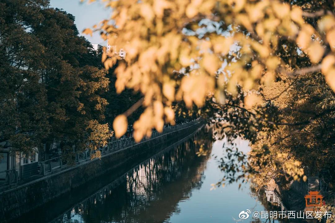 “昆明市西山区发布”微博