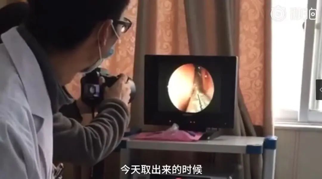 春城晚报