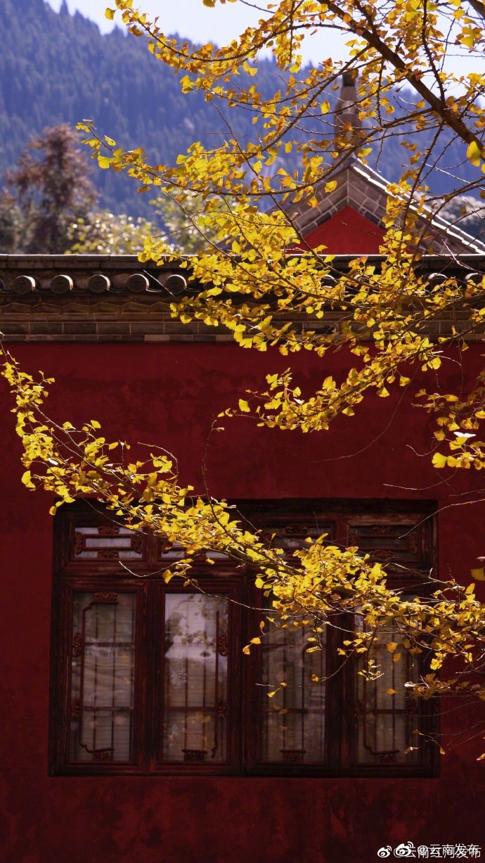 “云南发布”微博