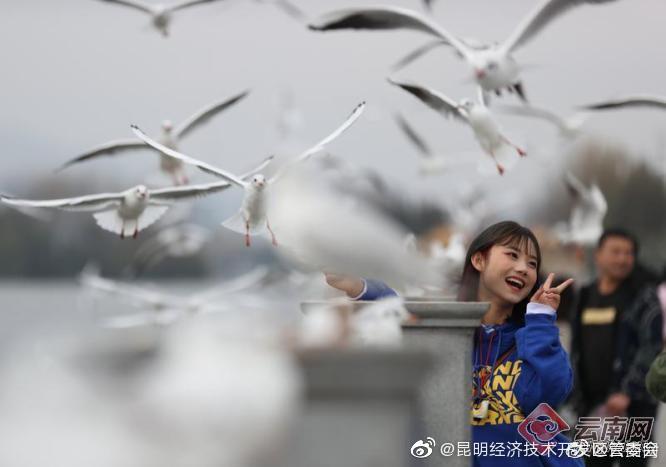 “昆明经济技术开发区管委会”微博