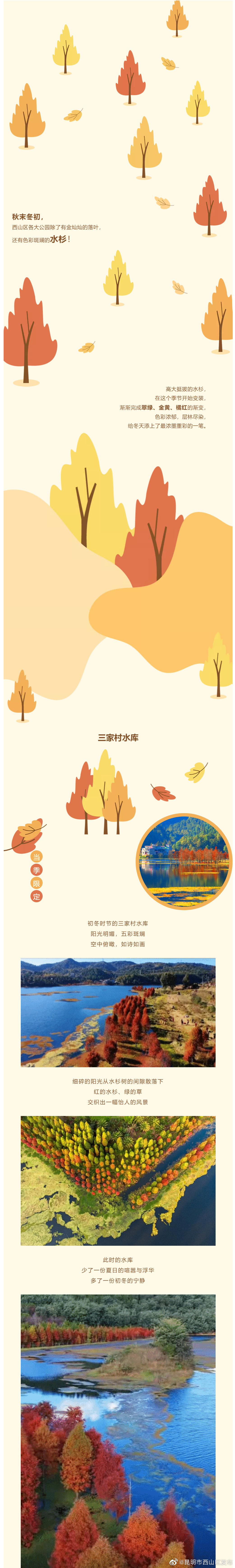 “昆明市西山区发布”微博