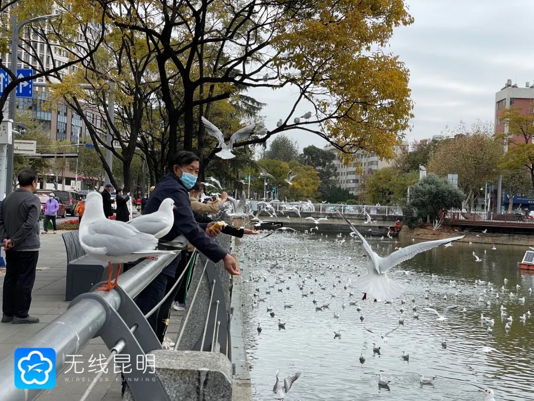 昆明发布