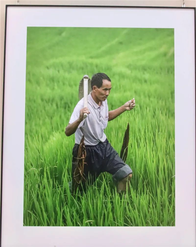 红河文旅