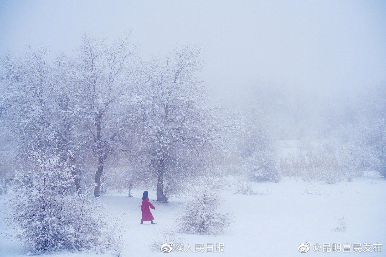 “昆明富民发布”微博