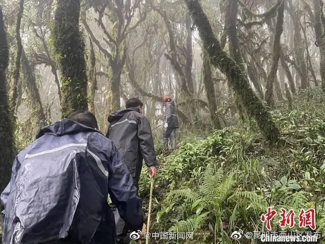 “昆明市西山区发布”微博