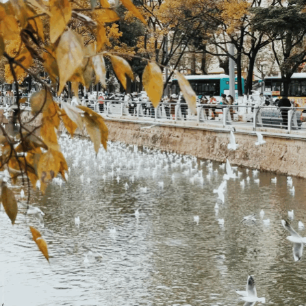 昆明发布