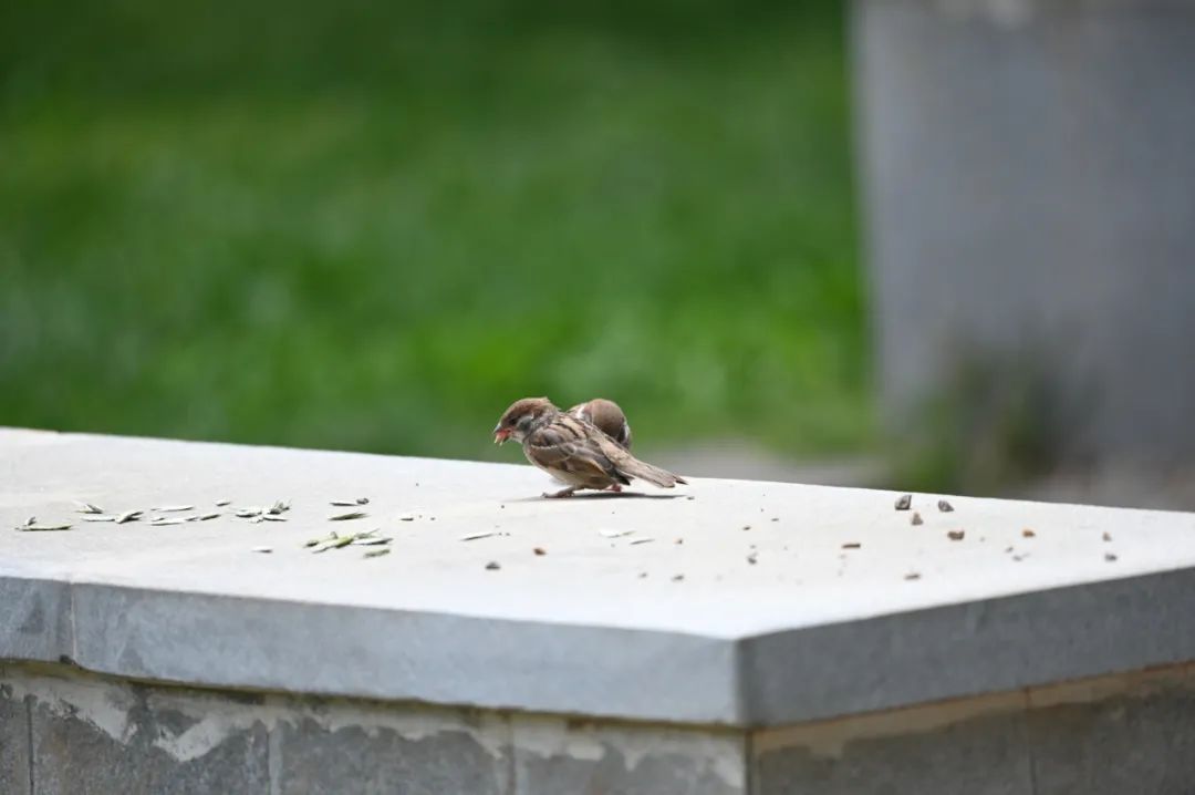 昆明市金殿名胜区