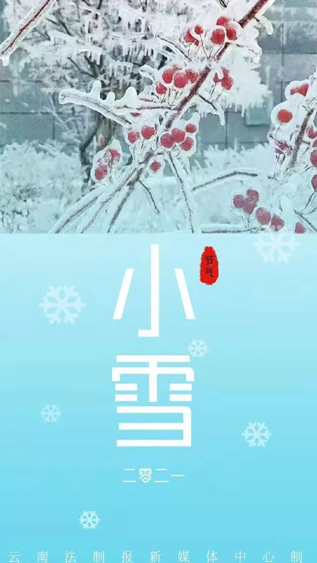云南法制报