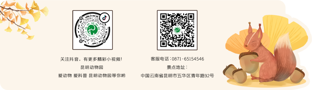 昆明动物园