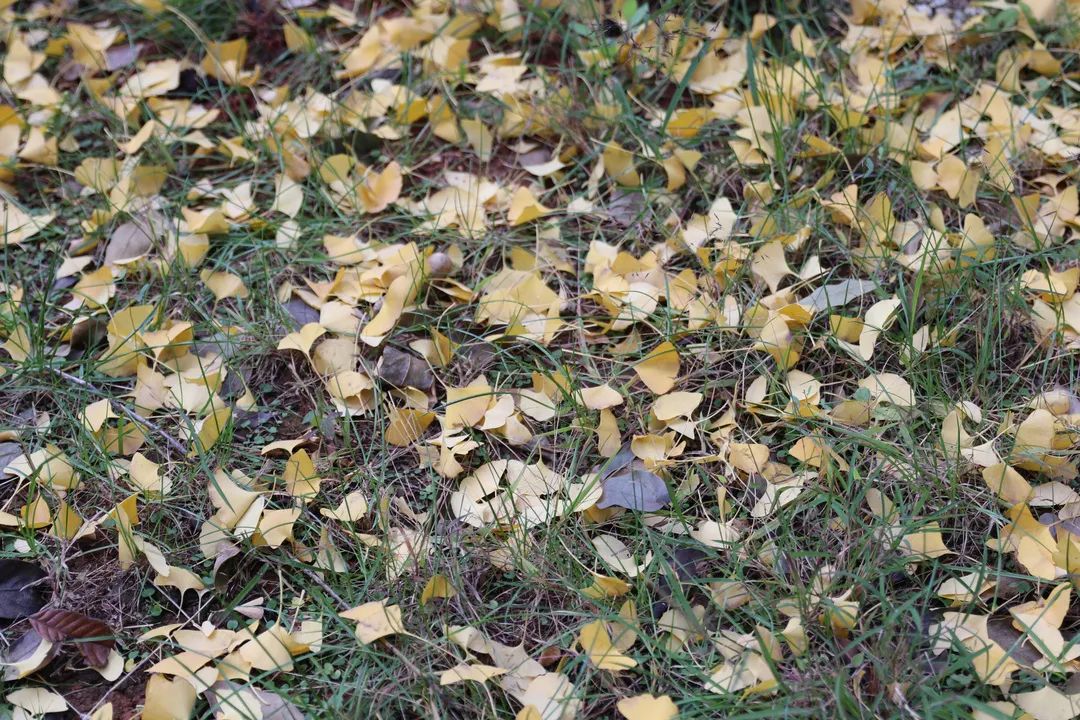 宜良检察(微信)