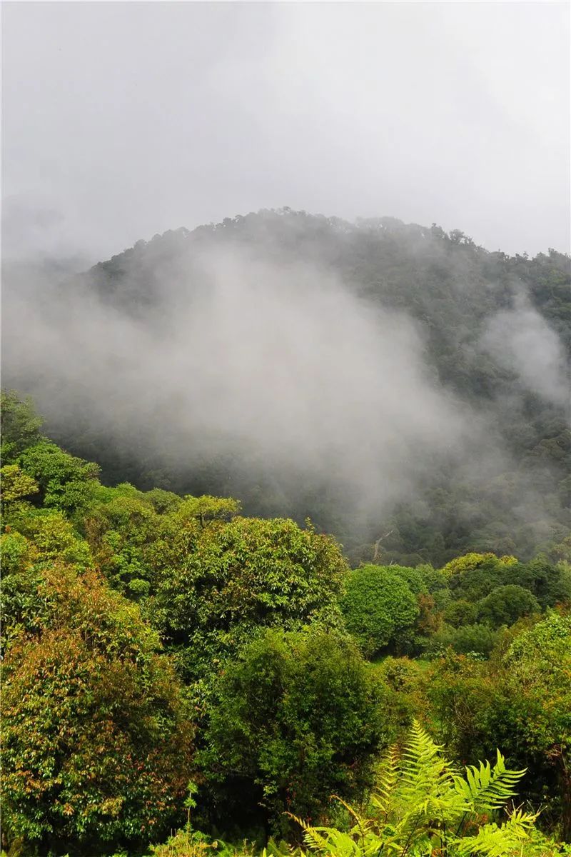 红河文旅
