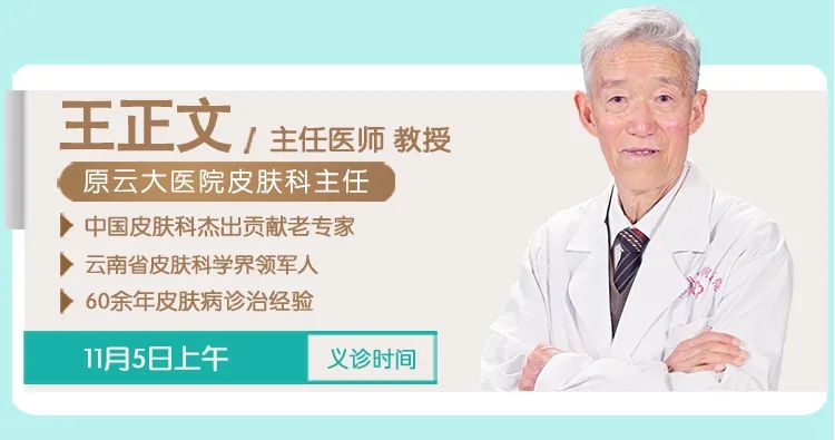 掌上春城
