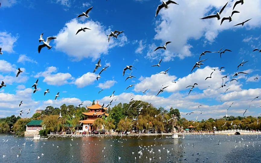 昆明发布