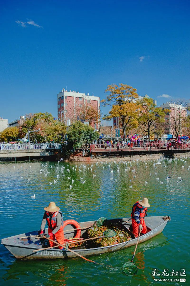 昆明信息港/cnkmxxg