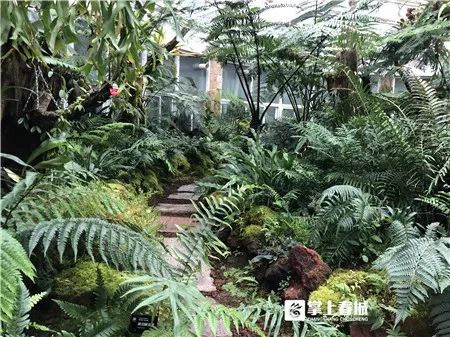 掌上春城