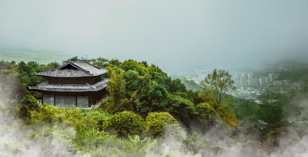 普洱日报