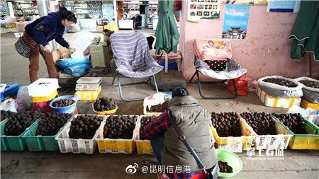 昆明信息港