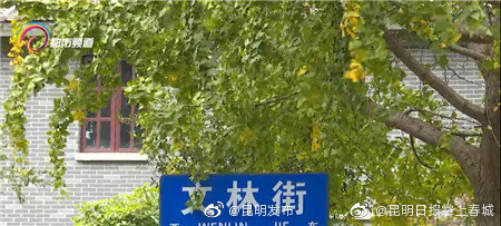 昆明发布