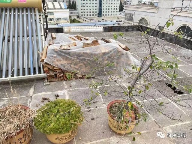 昭通日报