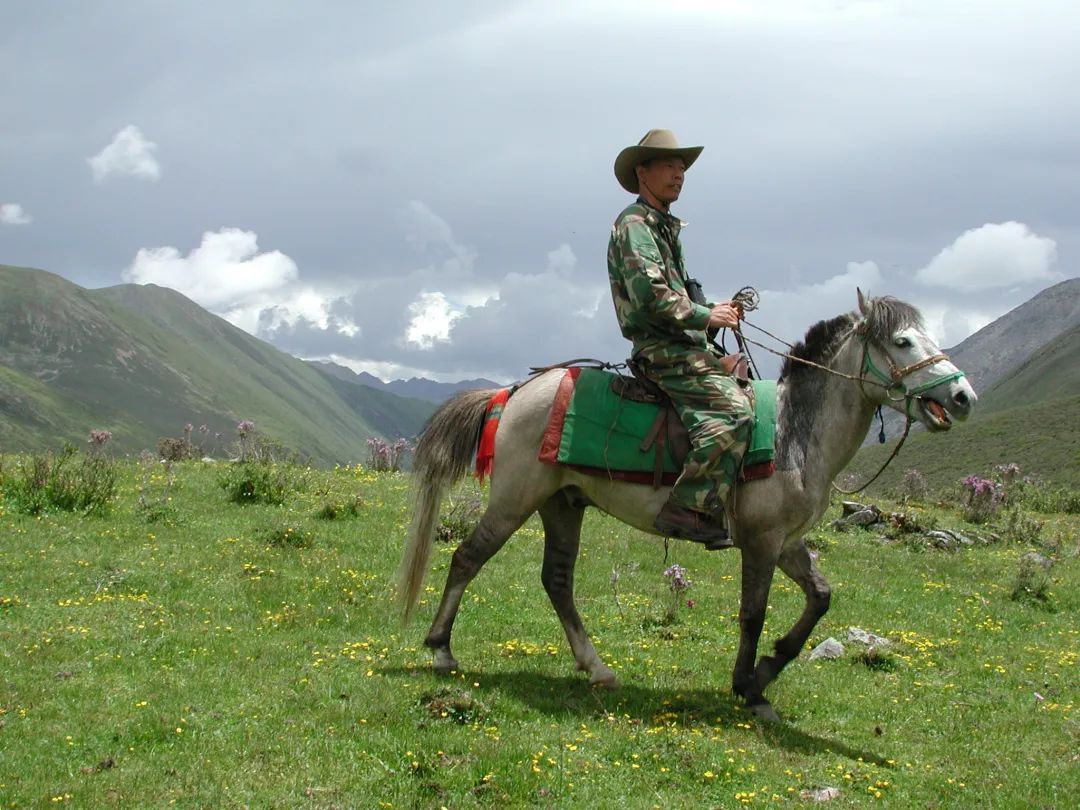 掌上春城微信公众号