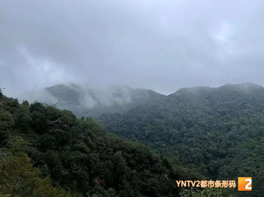 昆明信息港/cnkmxxg