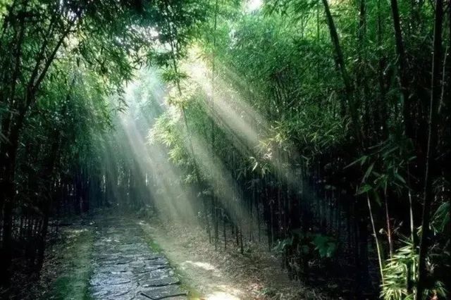 红河文旅