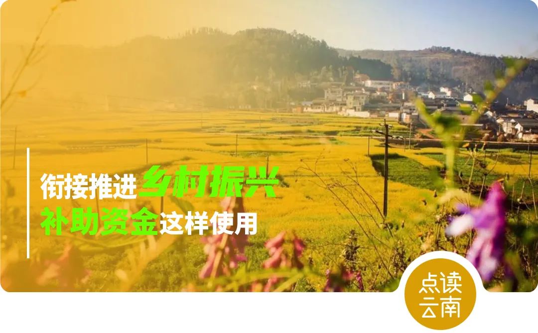 云南省人民政府网