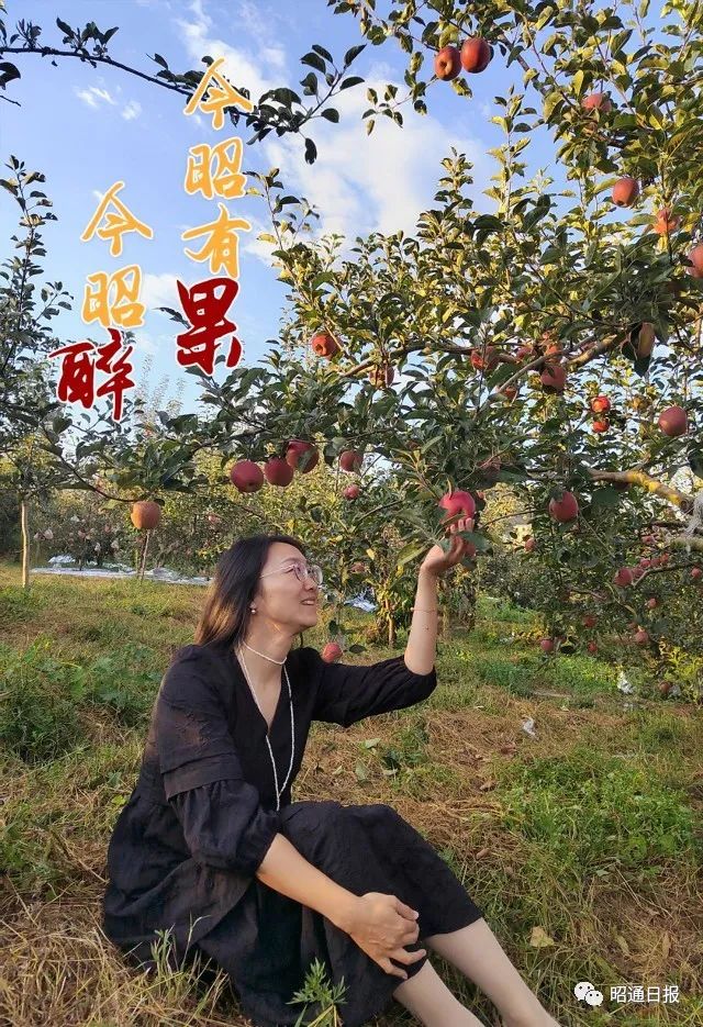 昭通日报
