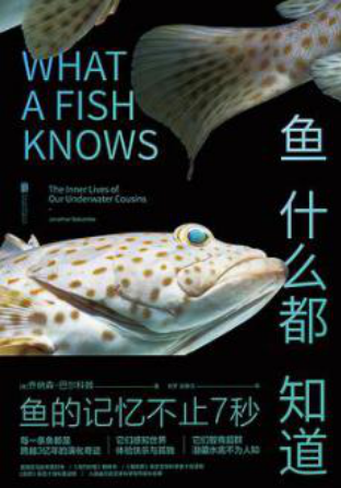 好书推荐：《鱼什么都知道》
