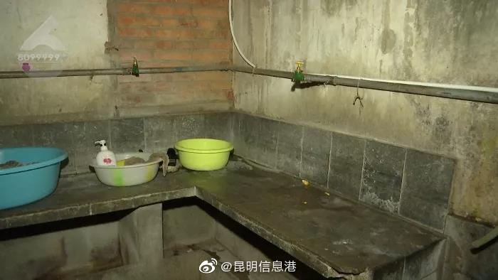 昆明信息港